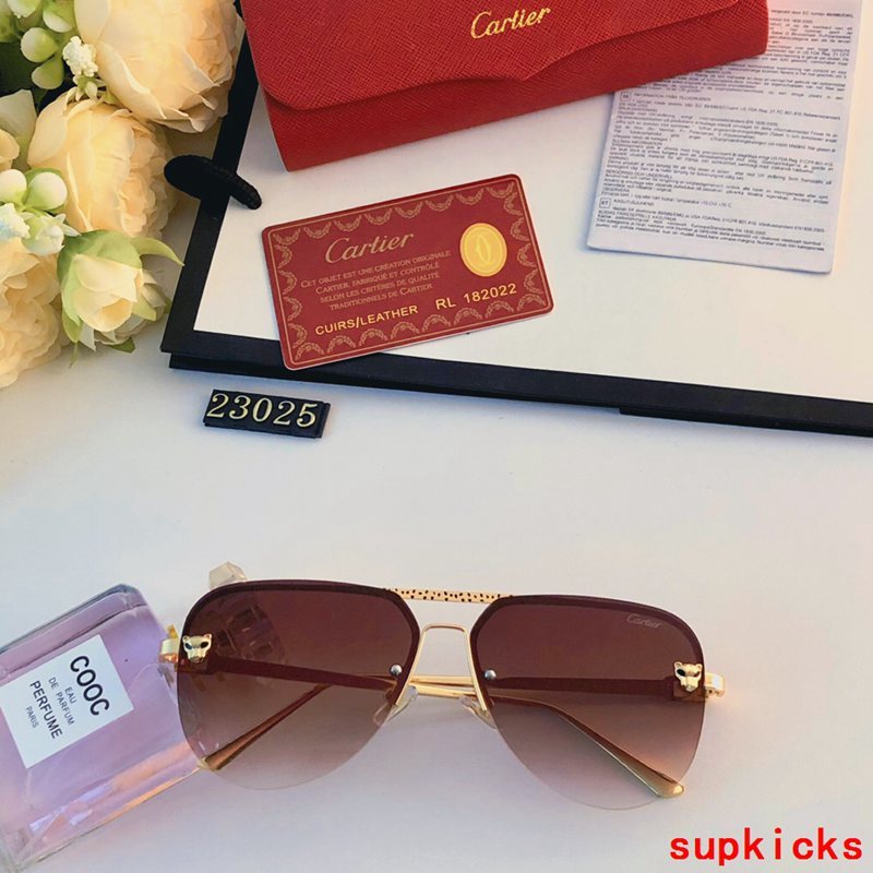 Close-up detail view of Cartier unisex sunglasses