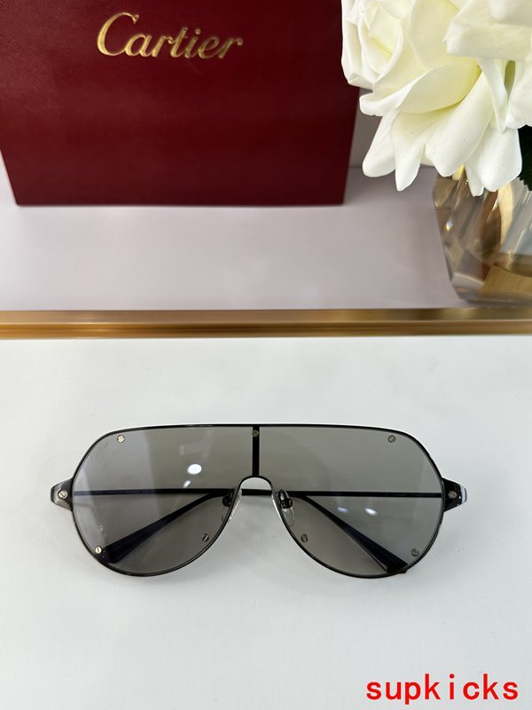 Angled view of Cartier unisex sunglasses