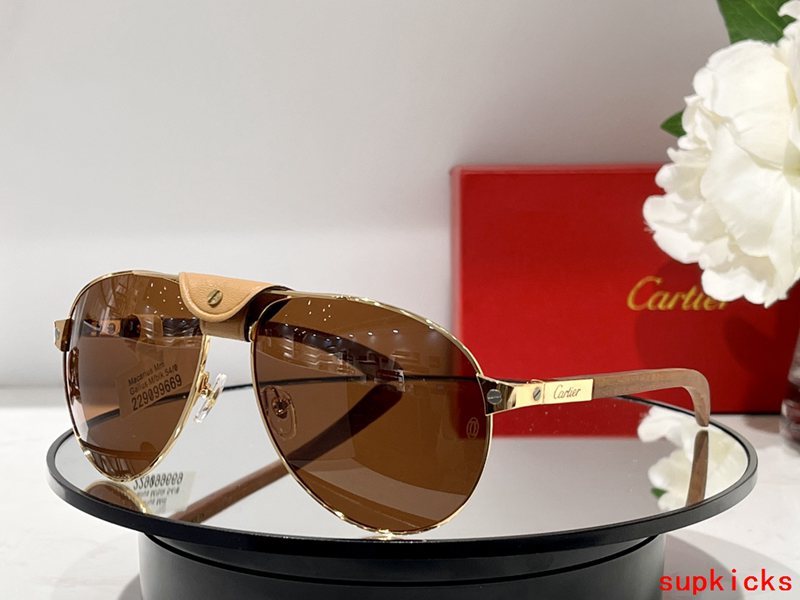 Close-up detail view of Cartier unisex sunglasses