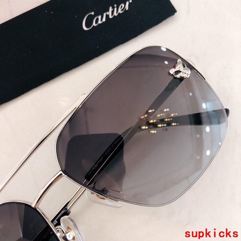 Side view of Cartier unisex sunglasses