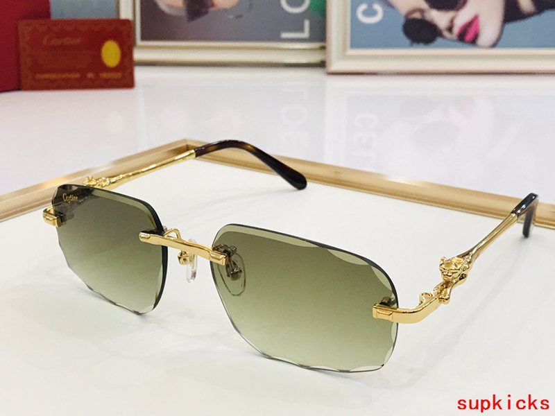 Angled view of Cartier unisex sunglasses