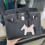  handbag close-up of hardware and finish