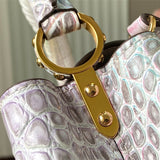  everyday bag interior and compartment view 9