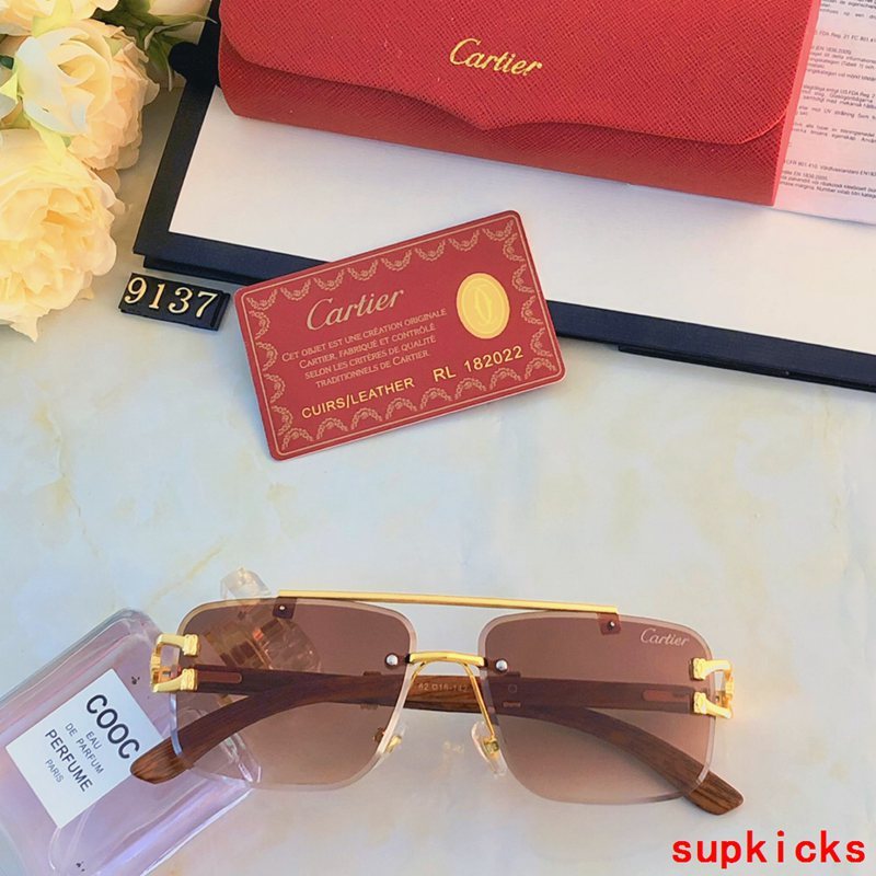 Side view of Cartier unisex sunglasses