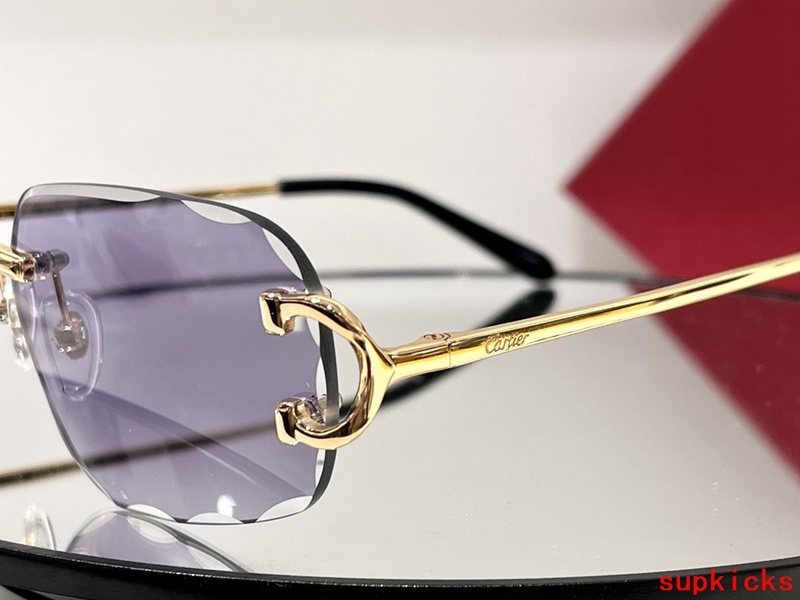 Close-up detail view of Cartier unisex sunglasses