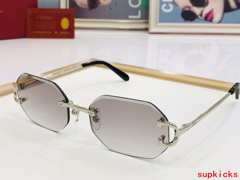 Front view of Cartier unisex sunglasses