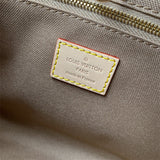  everyday bag interior and compartment view 9
