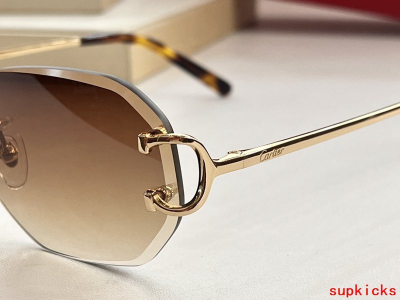 Front view of Cartier unisex sunglasses