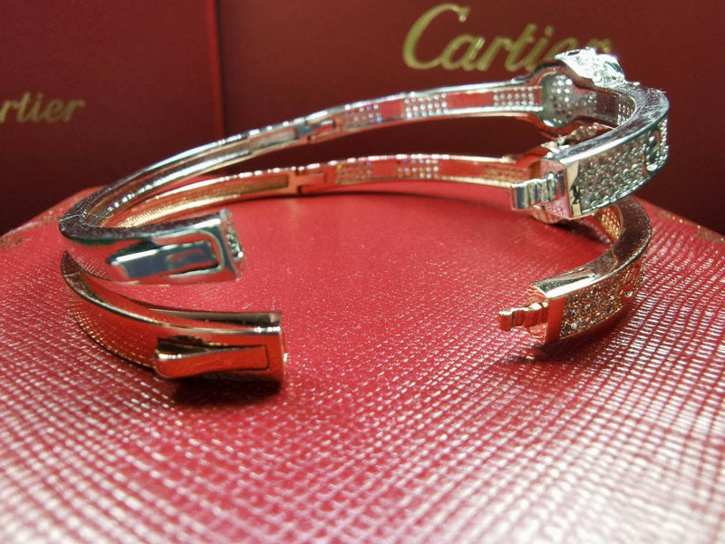 Full view of Cartier unisex jewelry piece