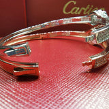 Full view of Cartier unisex jewelry piece