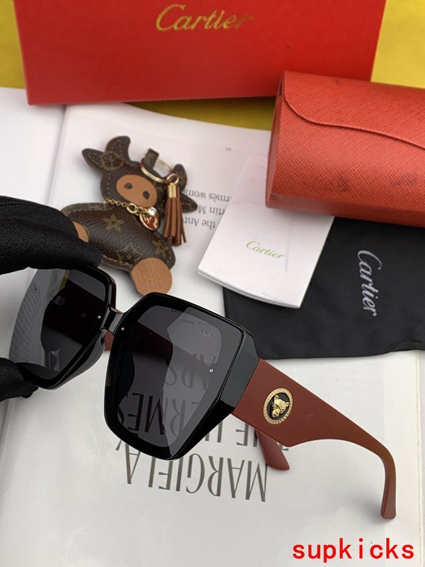 Front view of Cartier unisex sunglasses