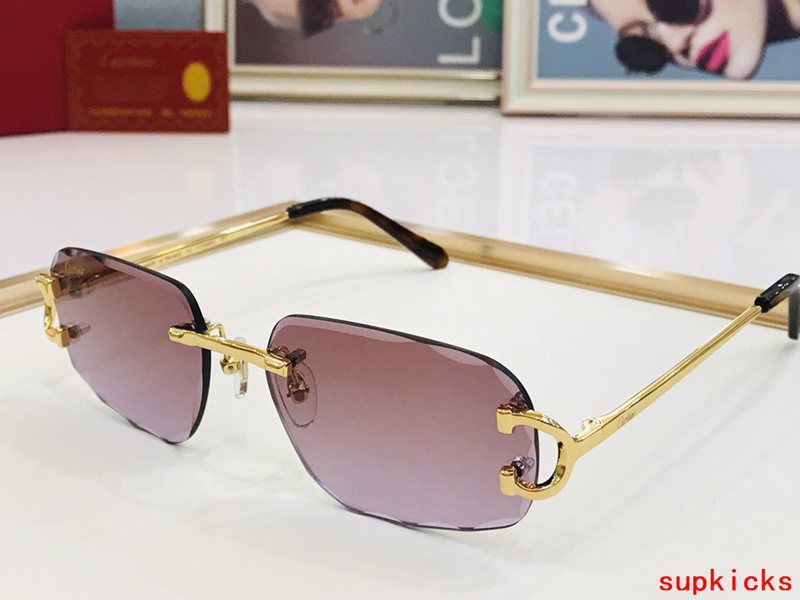 Side view of Cartier unisex sunglasses