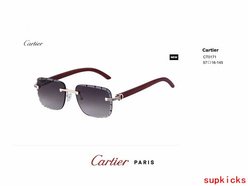 Side view of Cartier unisex sunglasses