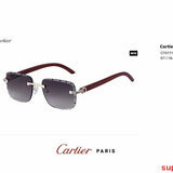 Side view of Cartier unisex sunglasses