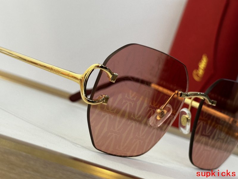 Side view of Cartier unisex sunglasses