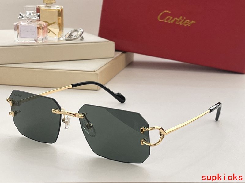 Full view of Cartier unisex sunglasses