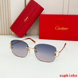 Side view of Cartier unisex sunglasses