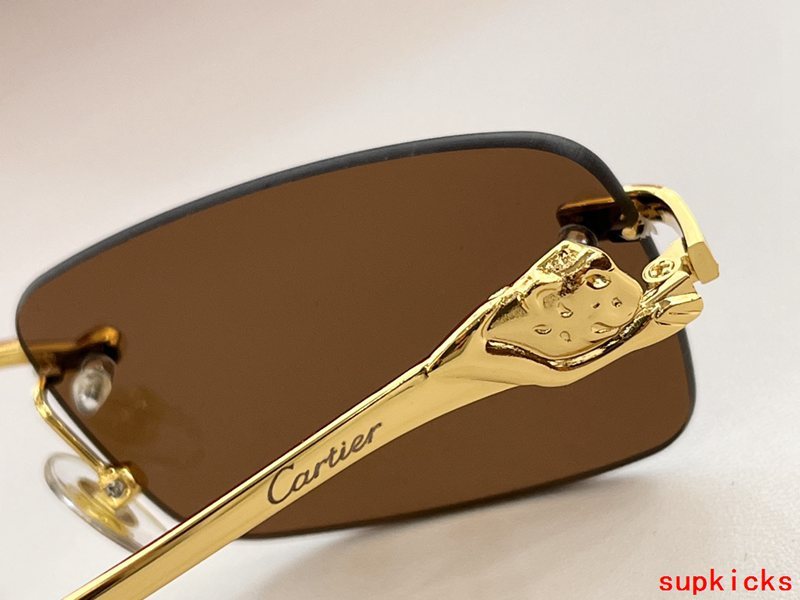 Front view of Cartier unisex sunglasses