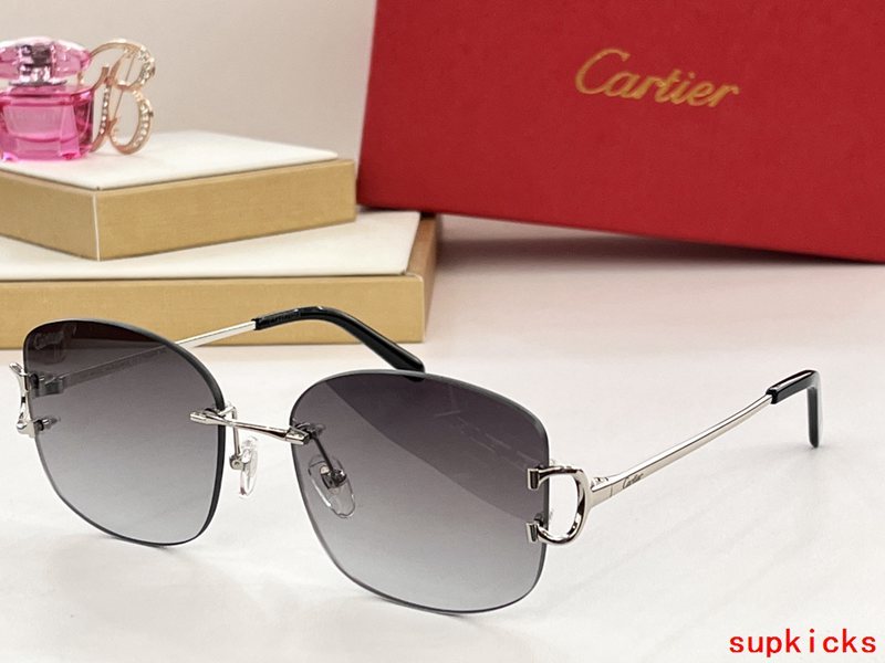 Close-up detail view of Cartier unisex sunglasses