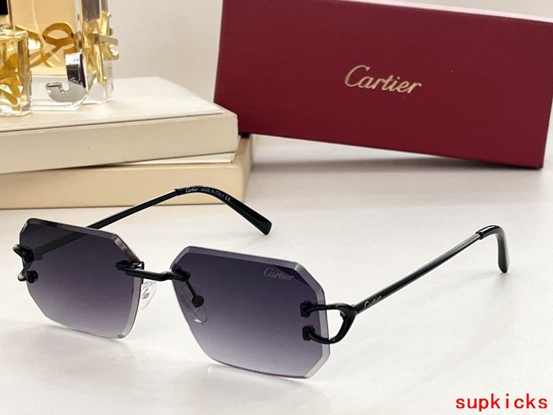 Front view of Cartier unisex sunglasses