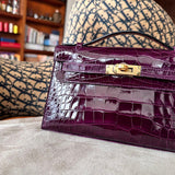  everyday bag interior and compartment view