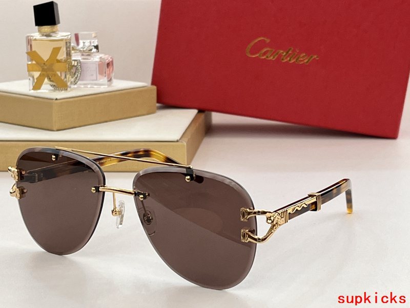 Angled view of Cartier unisex sunglasses