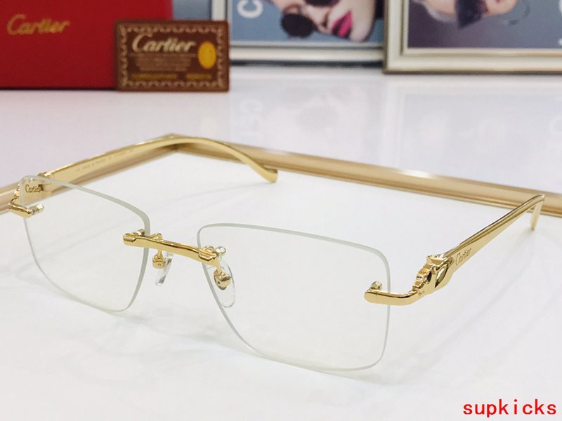 Side view of Cartier unisex sunglasses