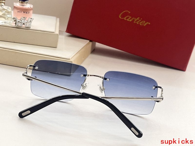 Close-up detail view of Cartier unisex sunglasses