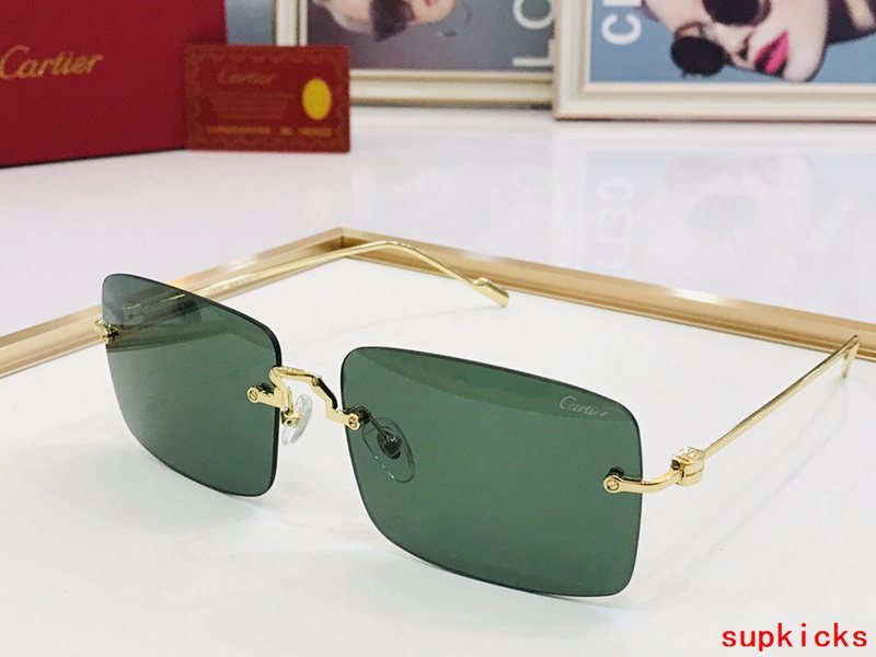 Close-up detail view of Cartier unisex sunglasses