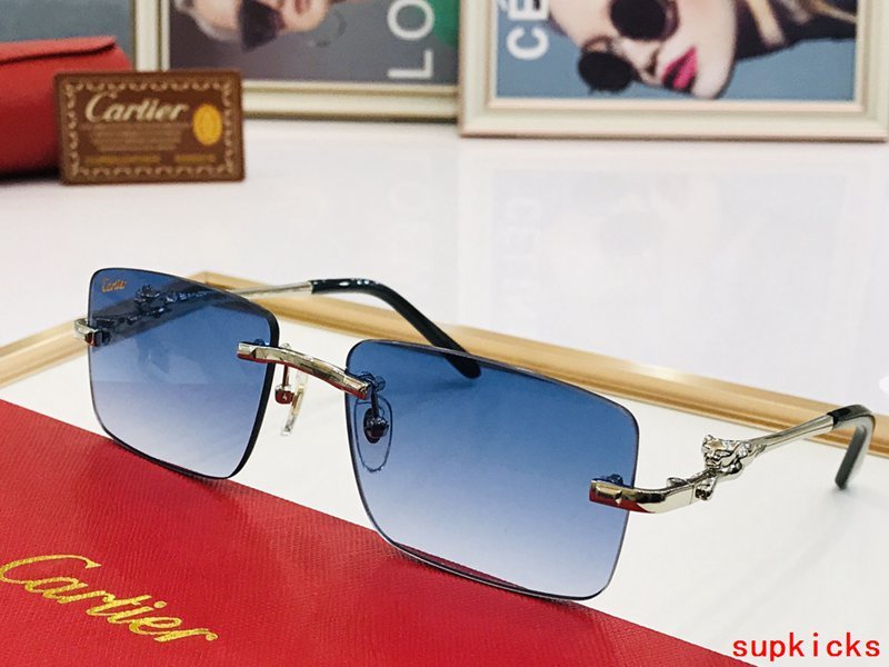 Close-up detail view of Cartier unisex sunglasses