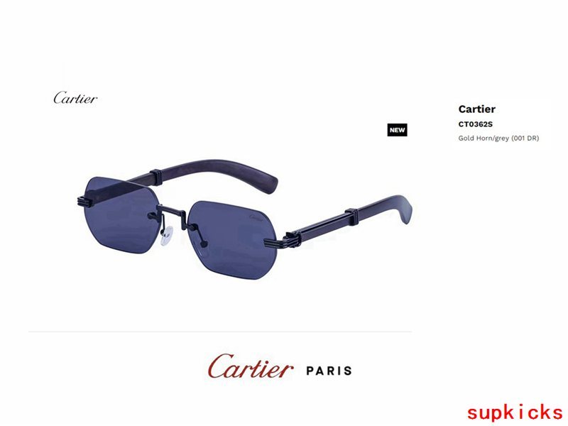 Front view of Cartier unisex sunglasses