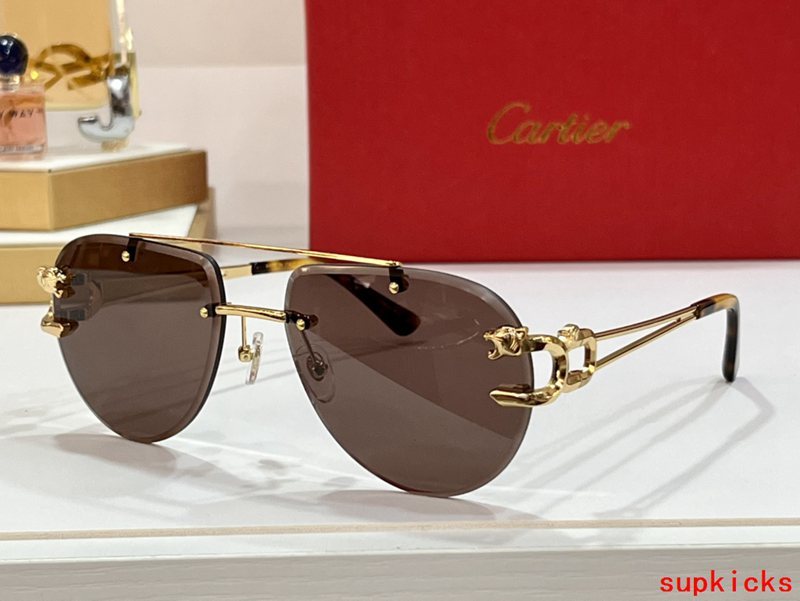 Angled view of Cartier unisex sunglasses