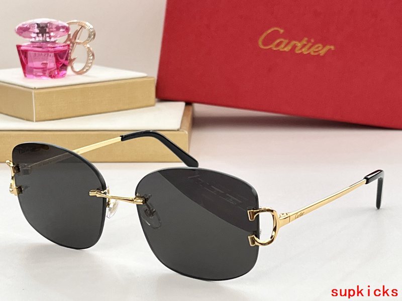 Close-up detail view of Cartier unisex sunglasses