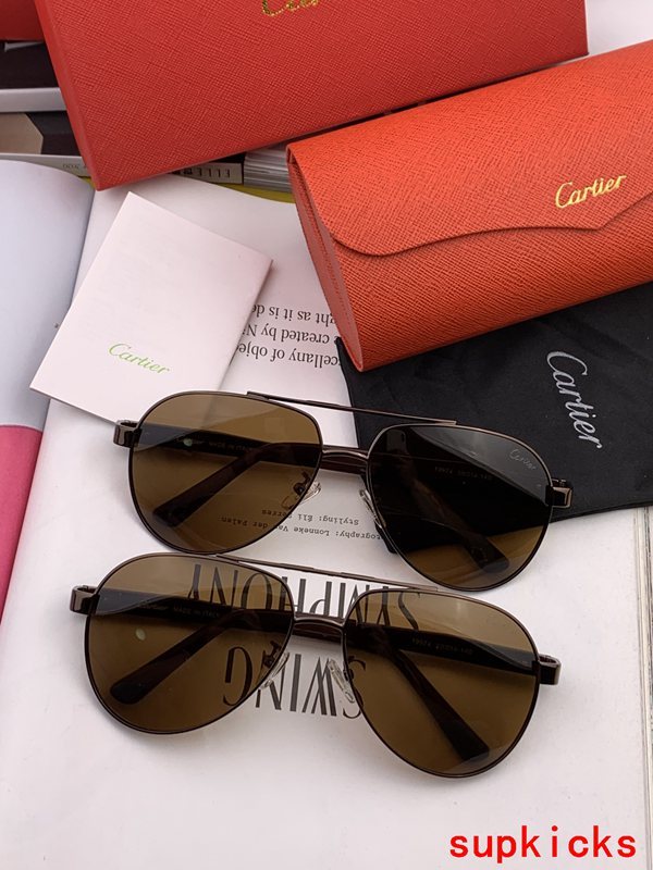 Lifestyle view of Cartier unisex sunglasses