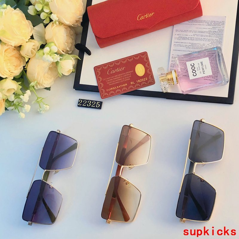 Front view of Cartier unisex sunglasses