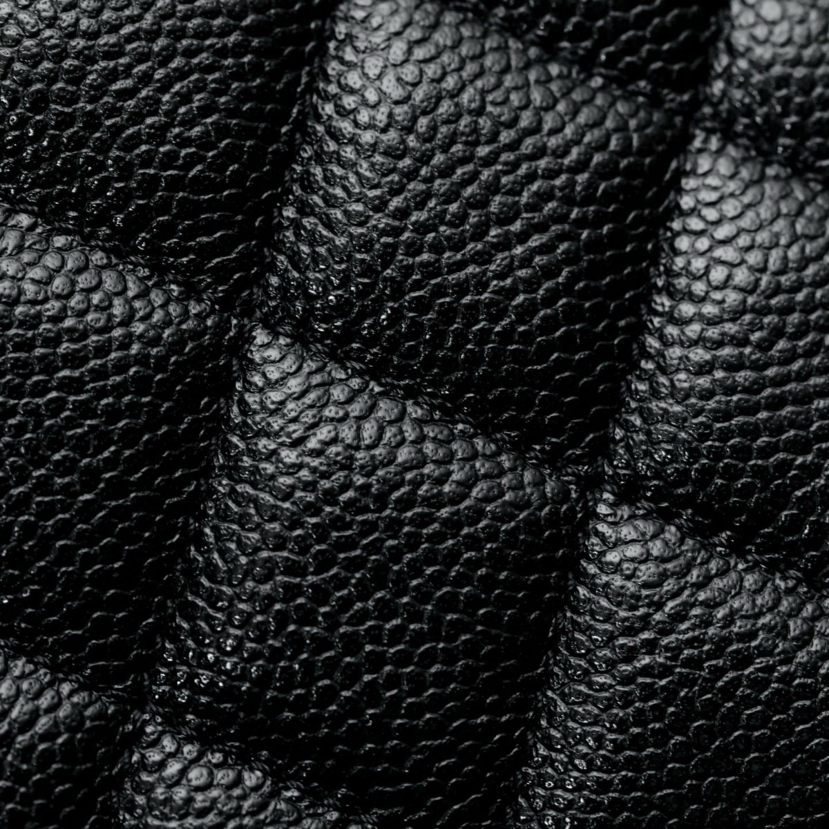 Chanel 25C Mini Tote Bag detail shot – authentic designer craftsmanship