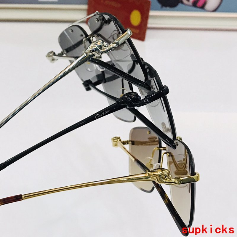 Side view of Cartier unisex sunglasses