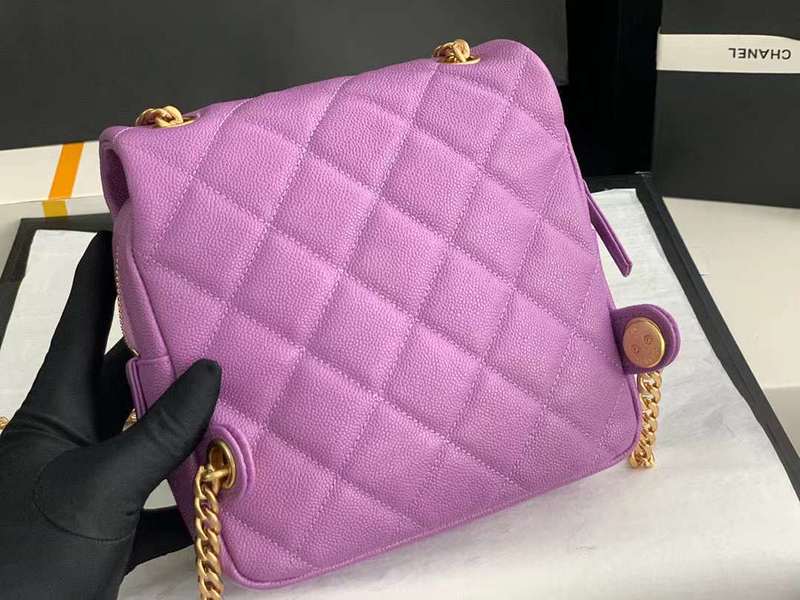 Zivas Charm Effortless Elegance Luxury Handbag (Signature Shape & Finish) – Back View