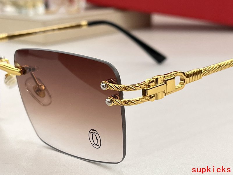 Front view of Cartier unisex sunglasses