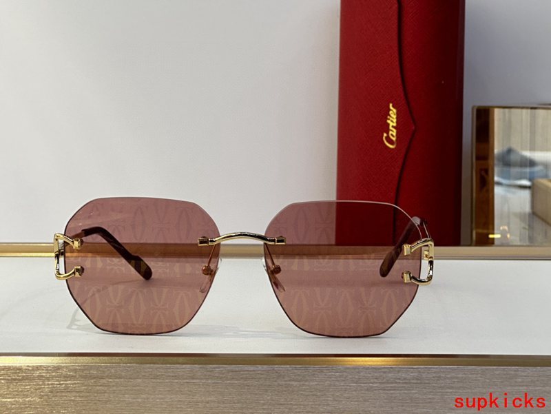 Full view of Cartier unisex sunglasses