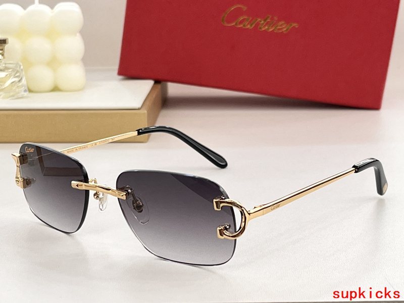 Side view of Cartier unisex sunglasses