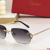 Side view of Cartier unisex sunglasses
