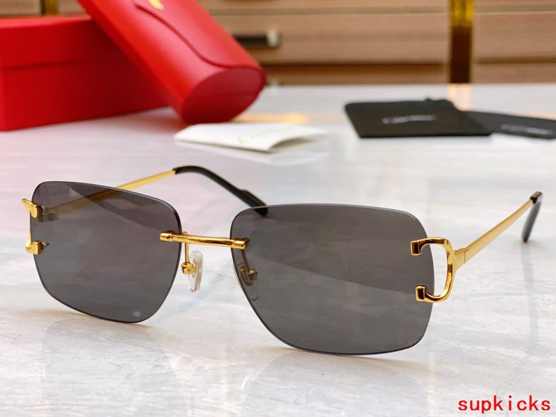 Side view of Cartier unisex sunglasses