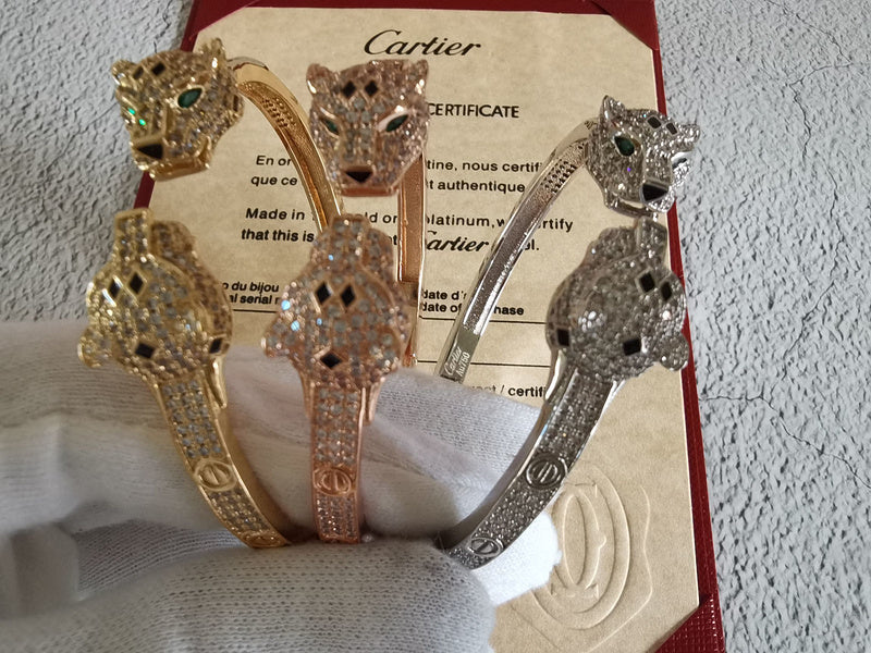 Side view of Cartier unisex jewelry piece