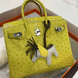 Interior view of modern premium bag