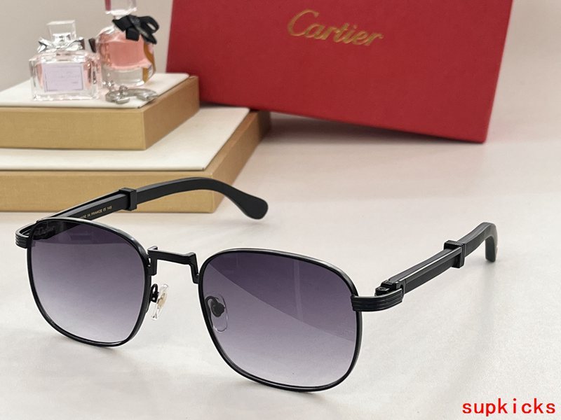Side view of Cartier unisex sunglasses