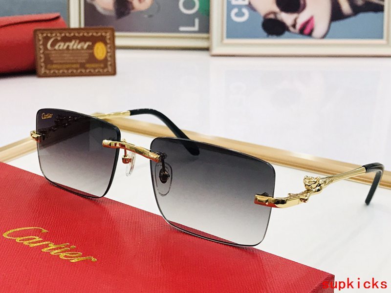 Side view of Cartier unisex sunglasses