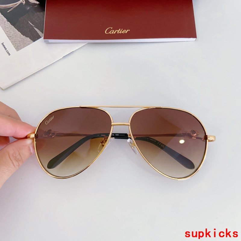 Side view of Cartier unisex sunglasses