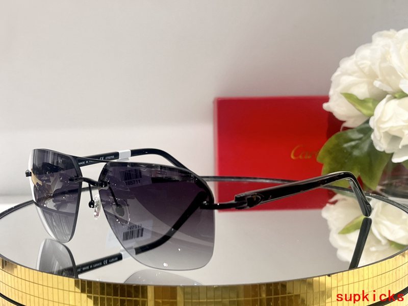 Side view of Cartier unisex sunglasses