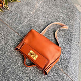  tote bag interior and compartment view